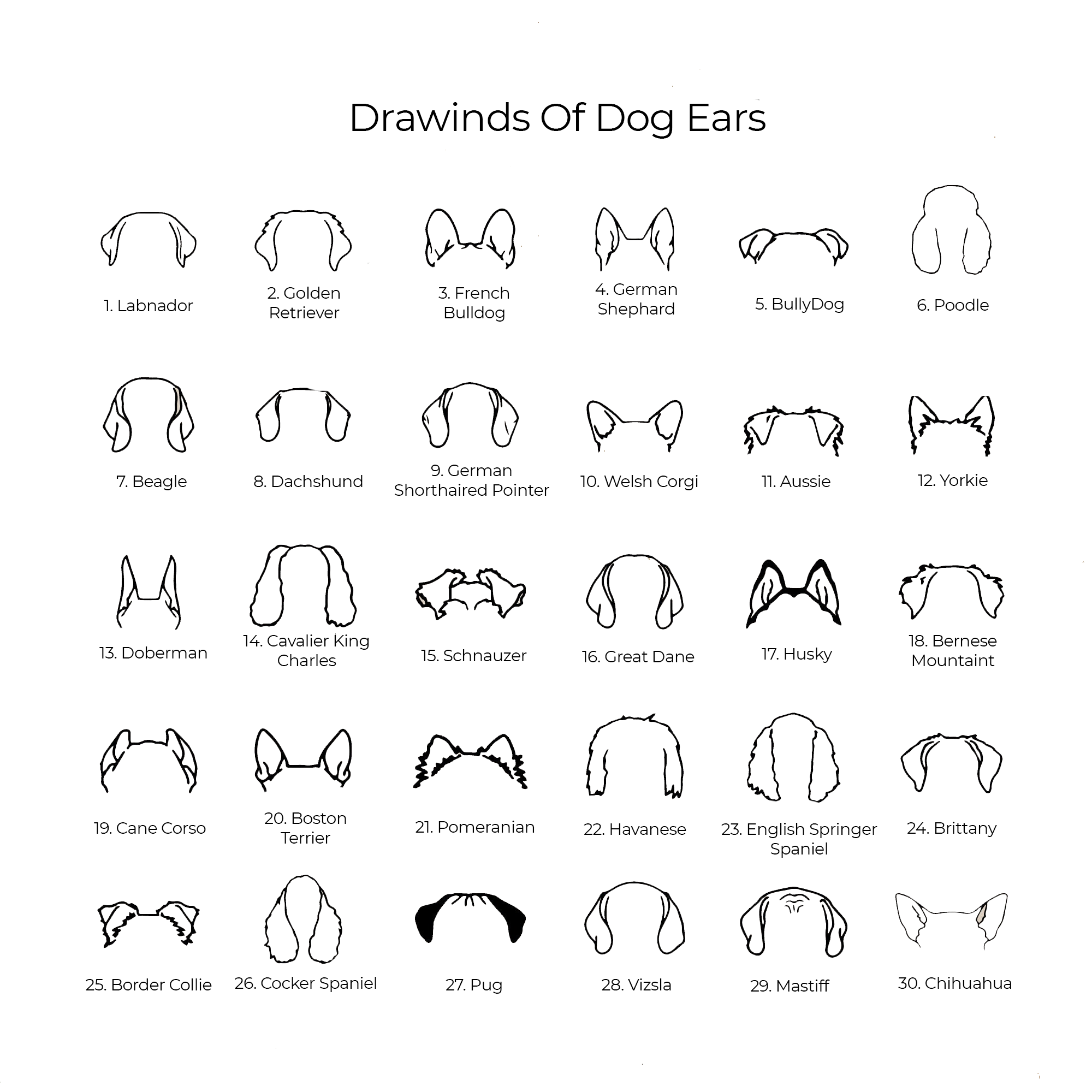 Dog Ear Name Necklace