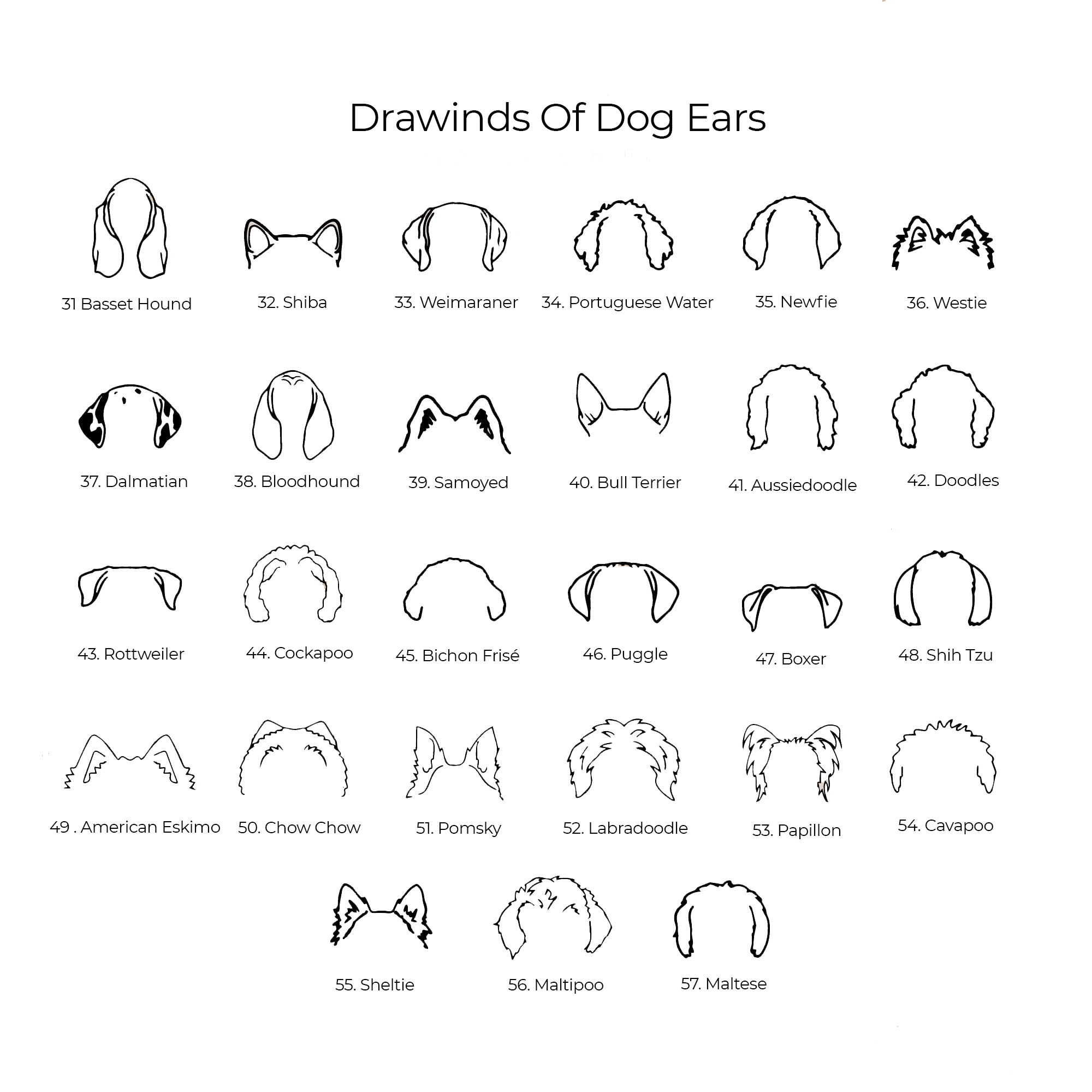 Dog Ear Name Necklace